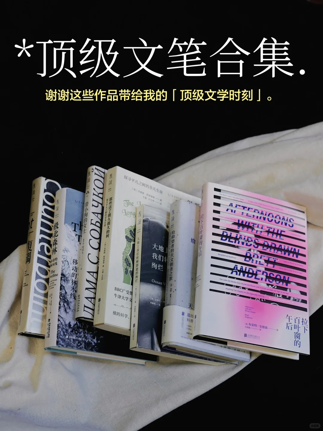也是吃上细糠了！零帧起手的超绝文笔俘获我