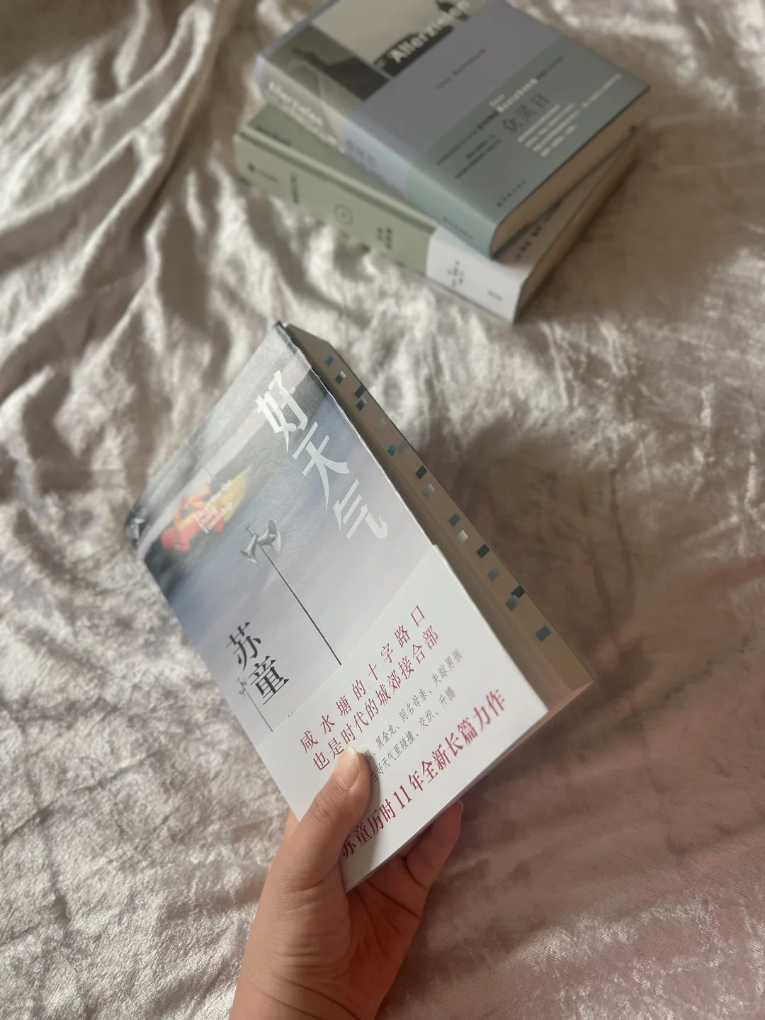 ◻️好天气：这是温情，也是敬意