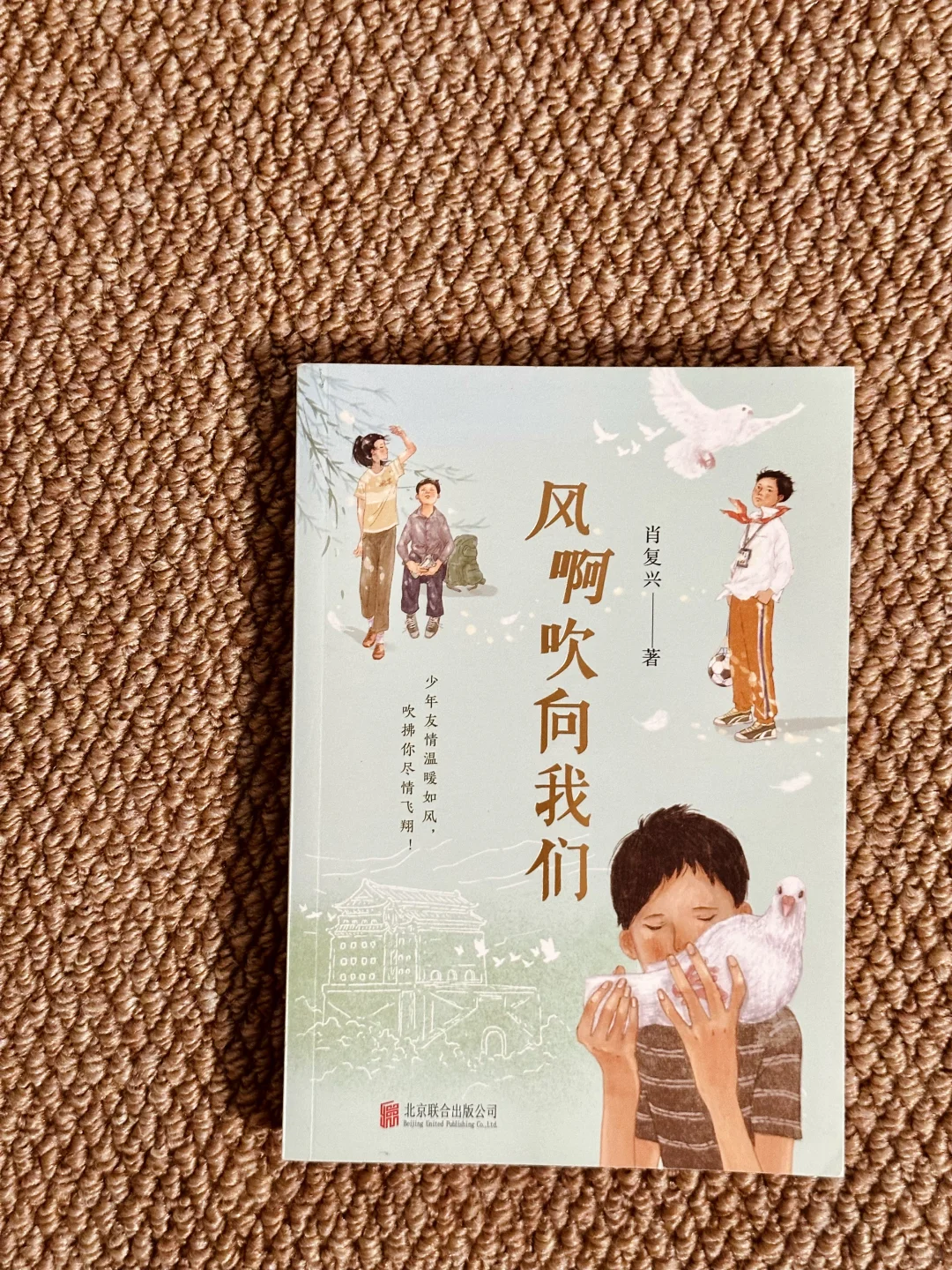 适合小学生的课外阅读书单📚高分不踩雷❗️