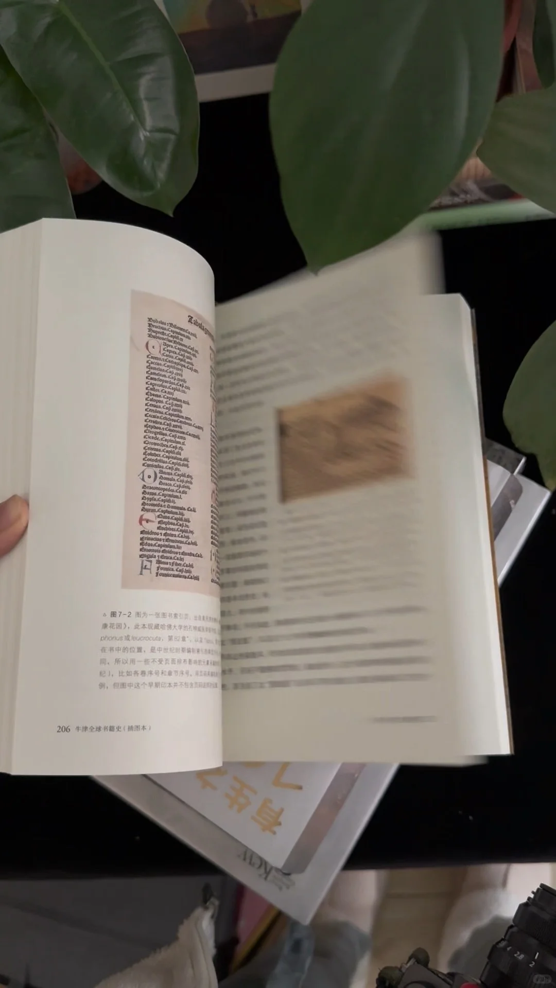 读的不止是书，更是美的形状｜新书书单
