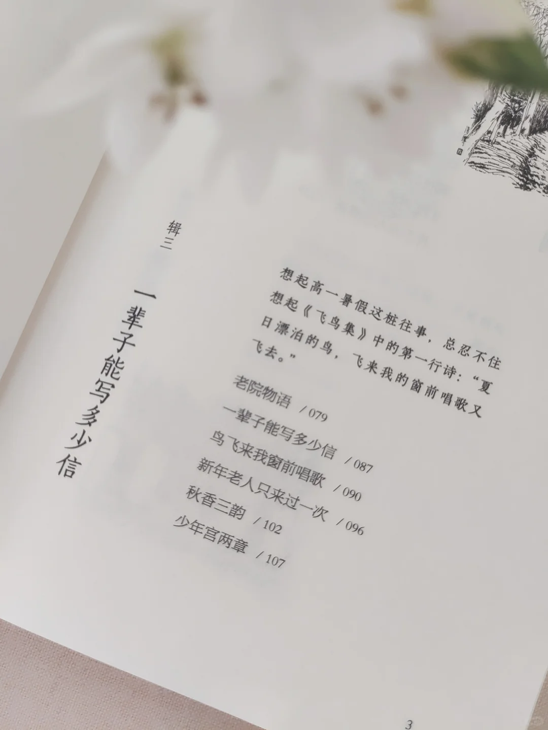 救命！！2025年度挖到的宝藏书单TOP1！！