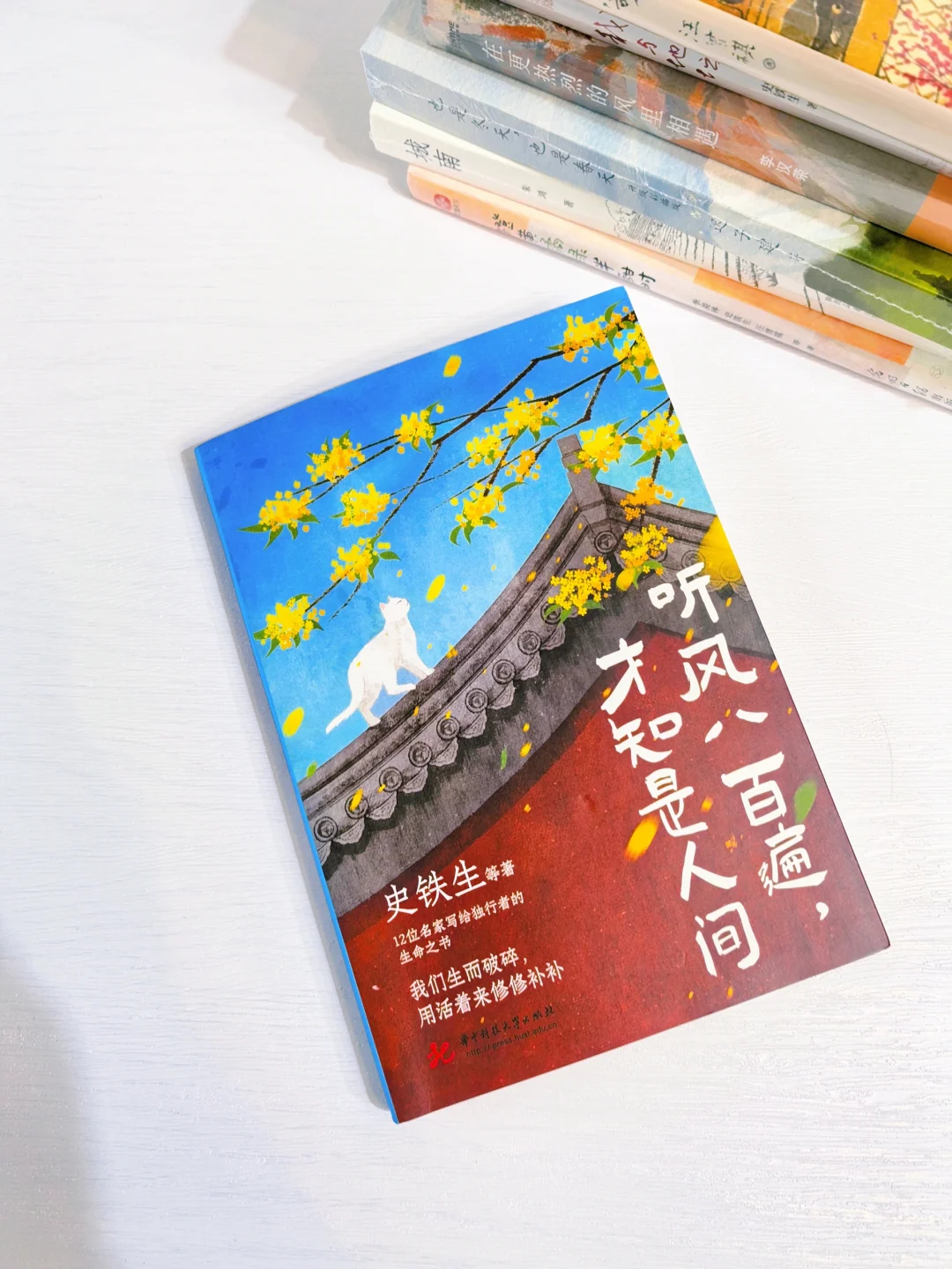 初中生翻烂这八本书❗文笔瞬间脱胎换骨