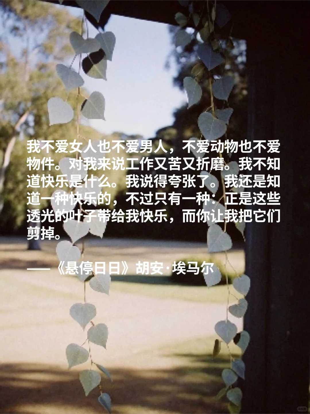 2025高分新书推荐📚好书趁早读（上）
