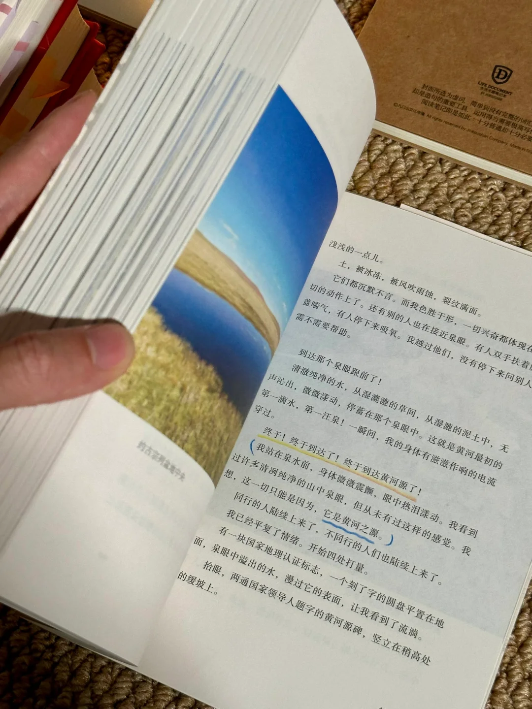 挖到宝📚他的文笔潇洒冷冽，恨不得全文背诵