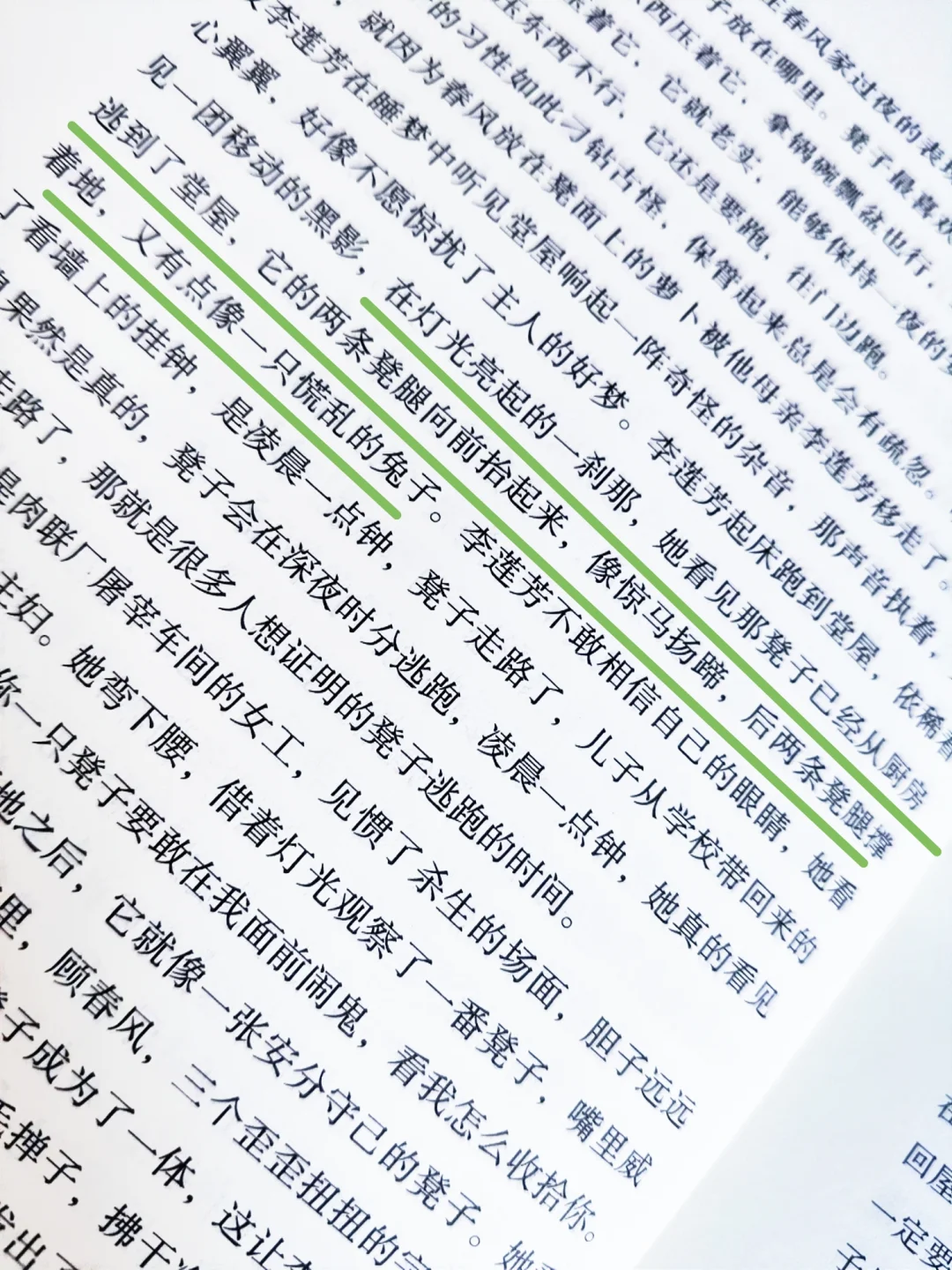 苏童，你真是个天才！文字的天才！
