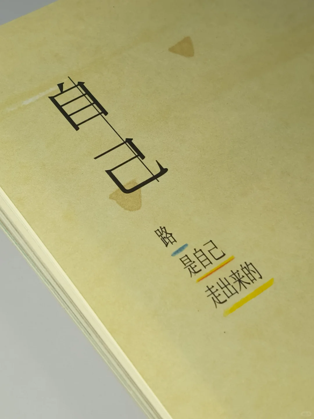 😭高铁上看哭了！这本书治愈我一整年的疲惫