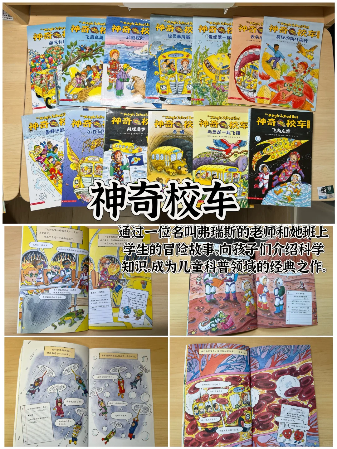 12套5-7岁最爱的桥梁书/100个育儿干货【29】