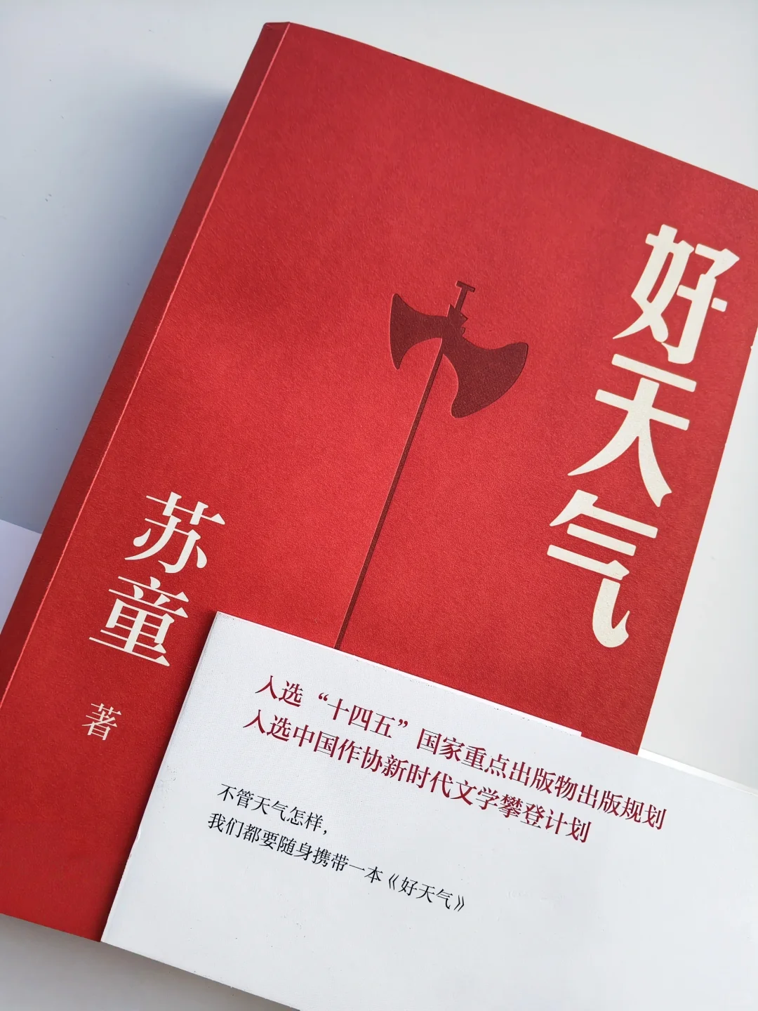 苏童，你真是个天才！文字的天才！