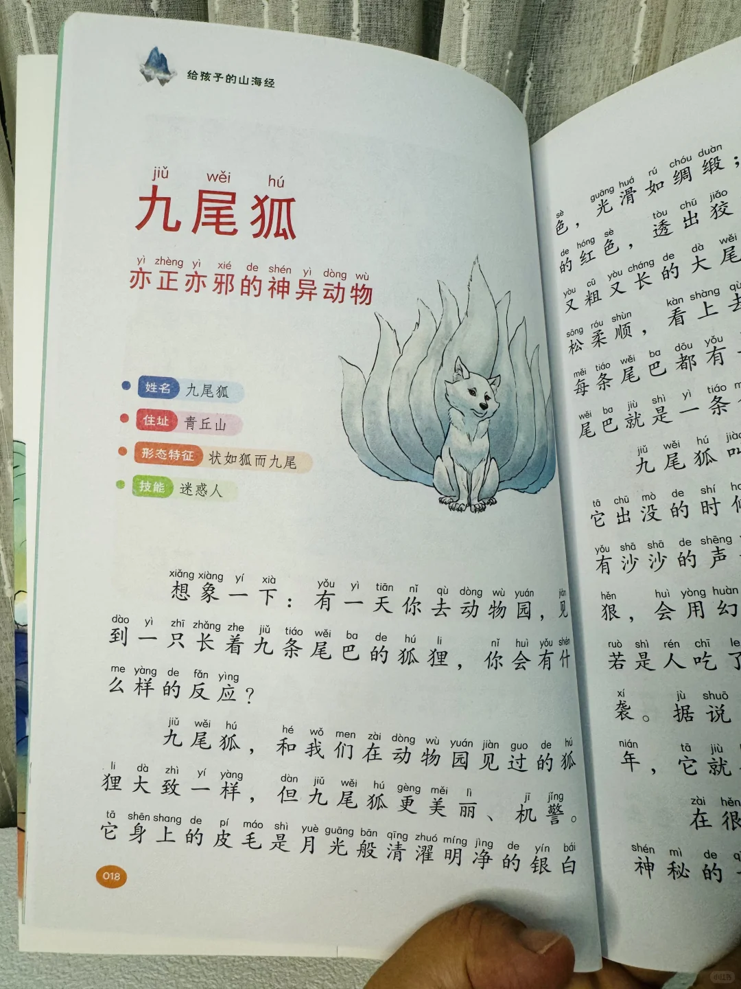 不愧是董宇辉推荐的山海经👍二年级娃爱惨了