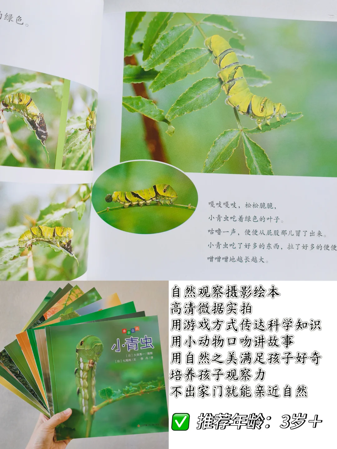 3-6岁宝宝必读绘本推荐🔥实用不踩雷💥