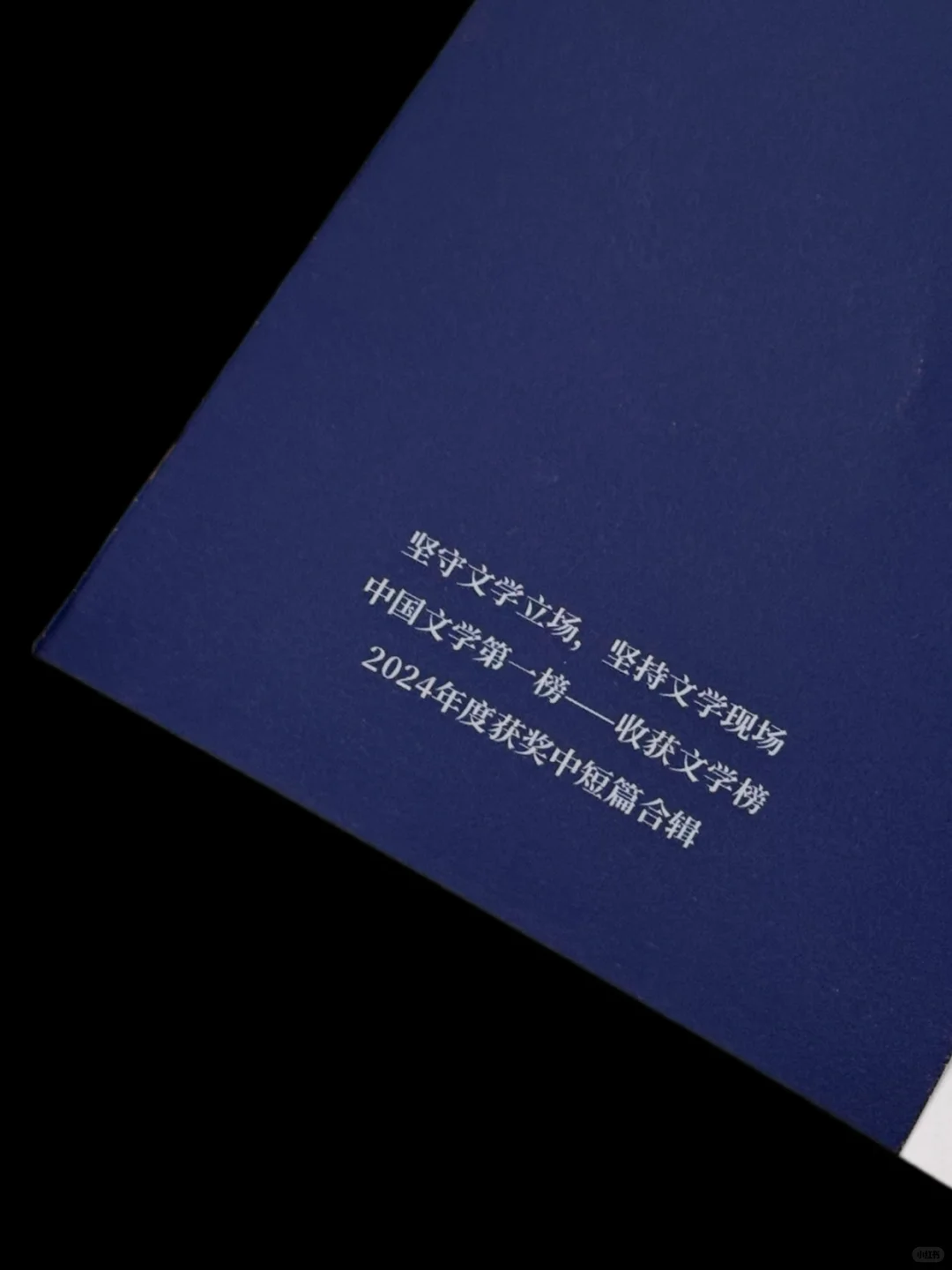 文学盛宴❗️一本收齐2024年最值得读的中短篇