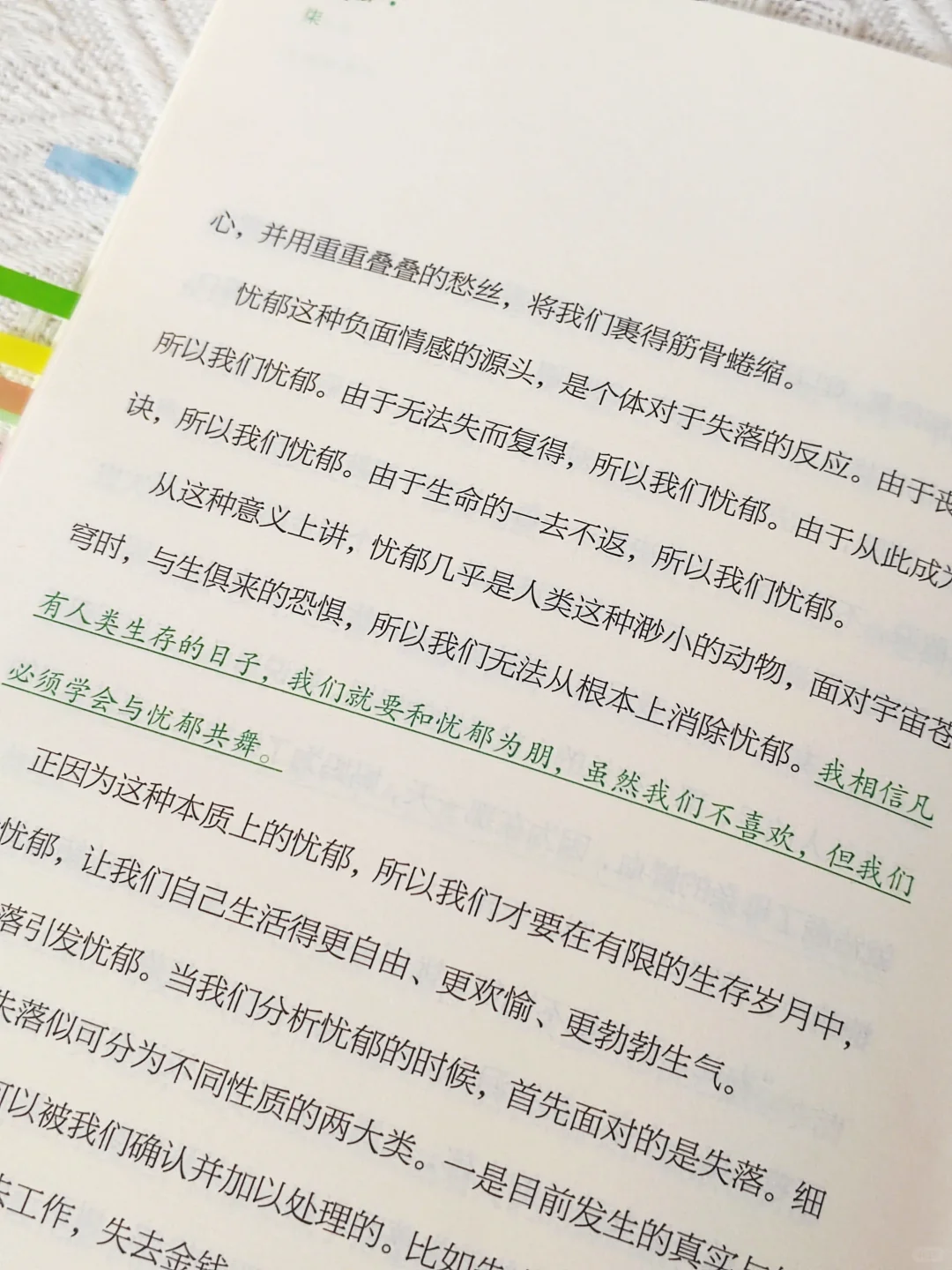 我宣布：这是我2025看过蕞蕞蕞治愈的一本书