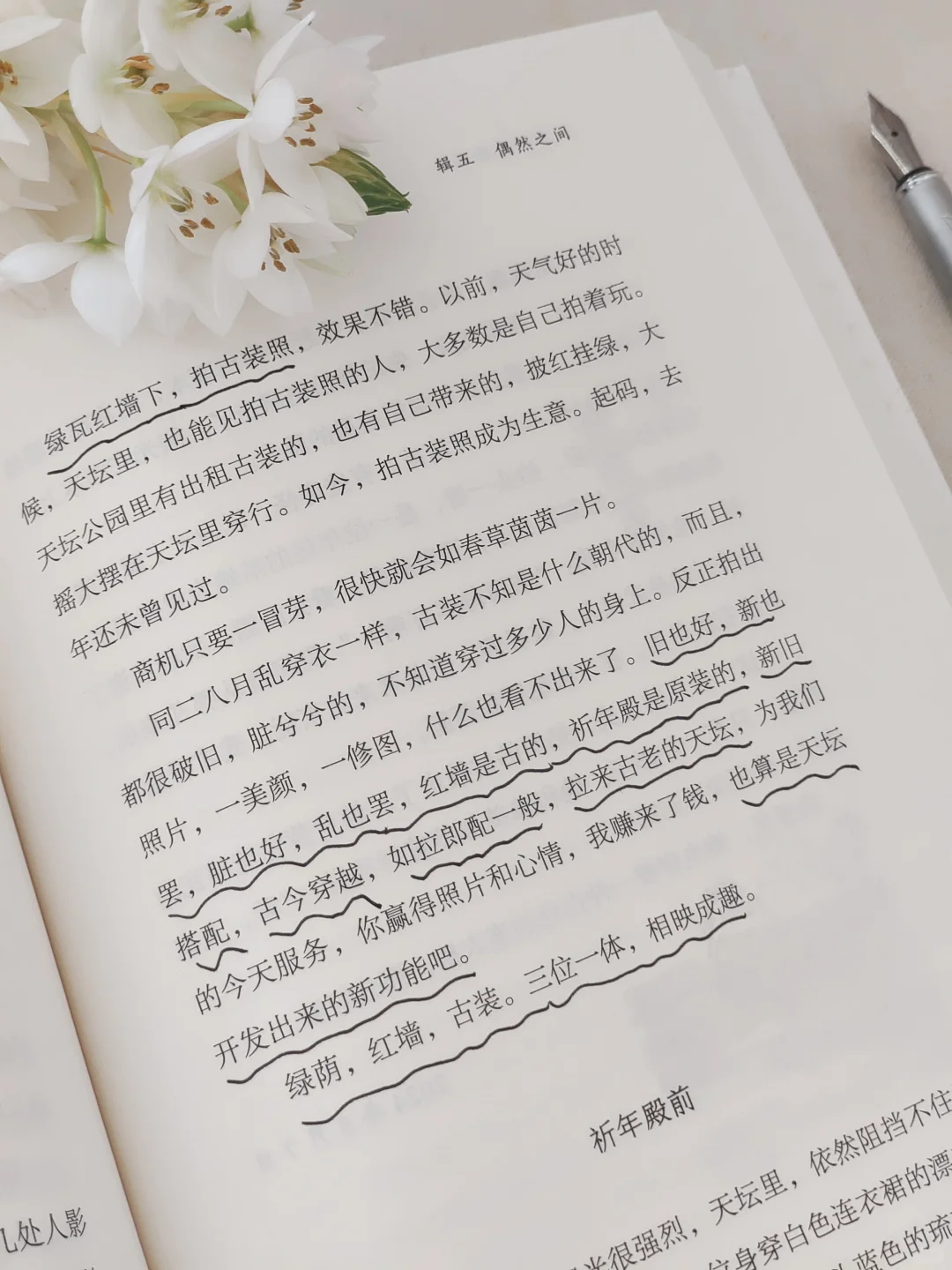 救命！！2025年度挖到的宝藏书单TOP1！！