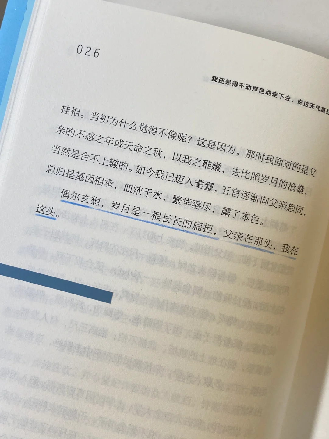 读哭了！文笔好绝，这本书每一页都是催泪弹