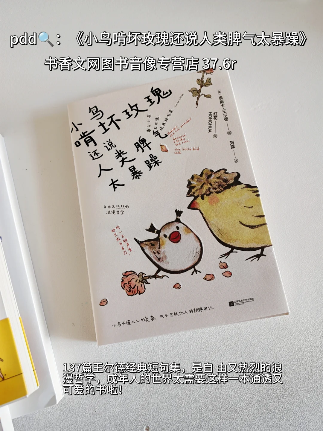 超治愈的夏日书单🌿每一本我都好爱