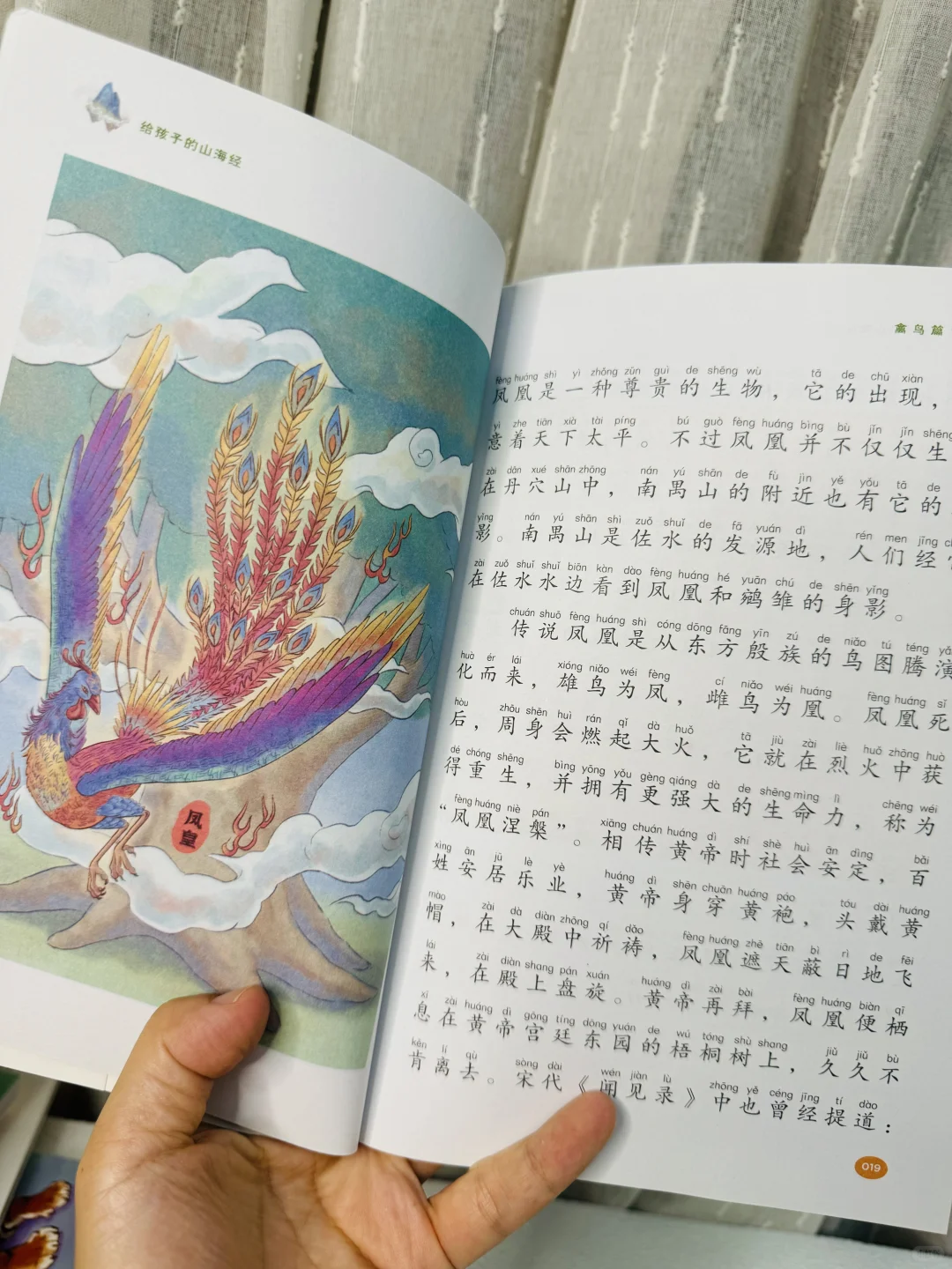 不愧是董宇辉推荐的山海经👍二年级娃爱惨了