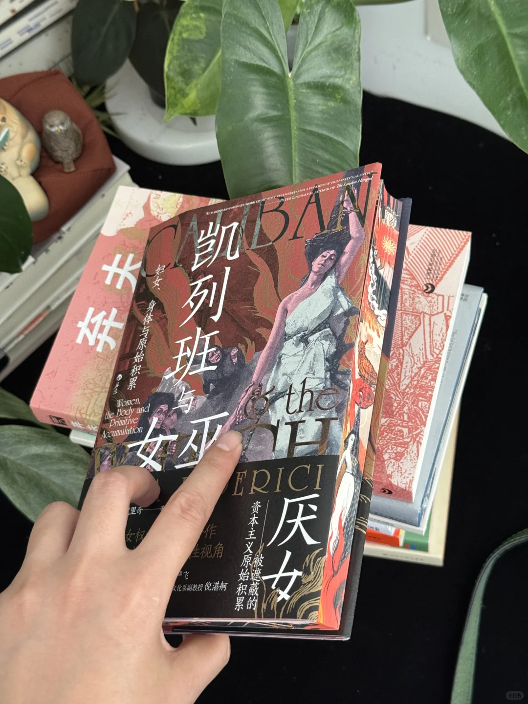 新书留影📖