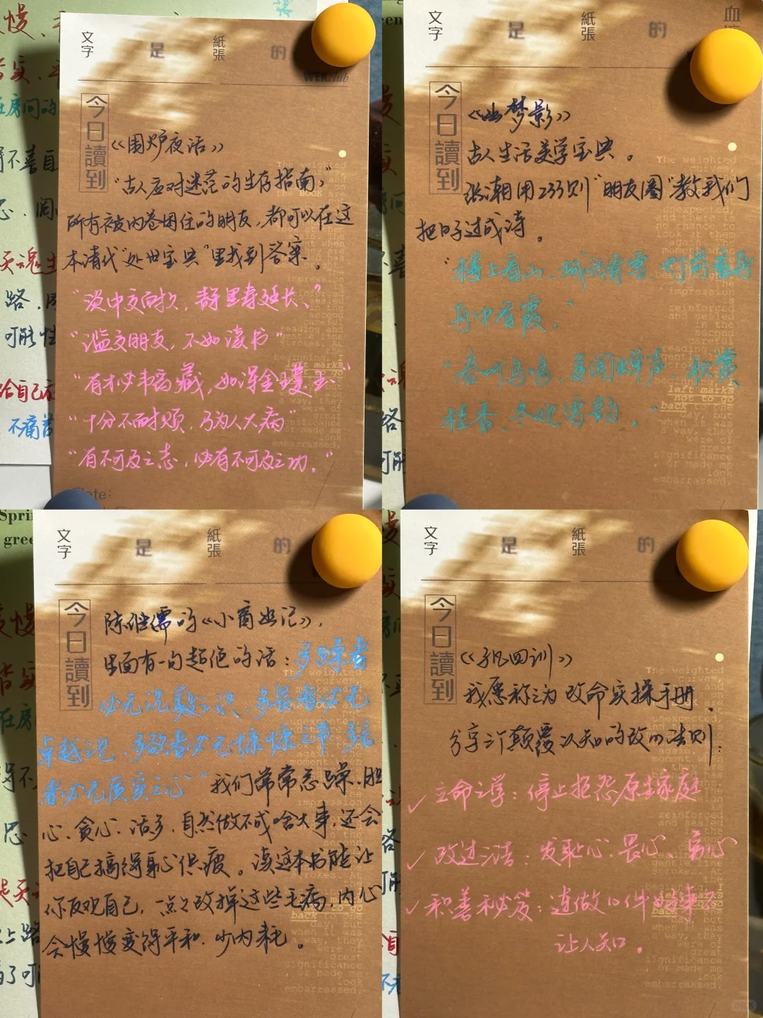 强推🫡我要把这套书奉为我2025的枕边书！！！