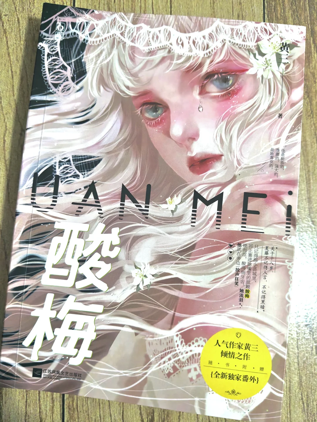 新入手小说