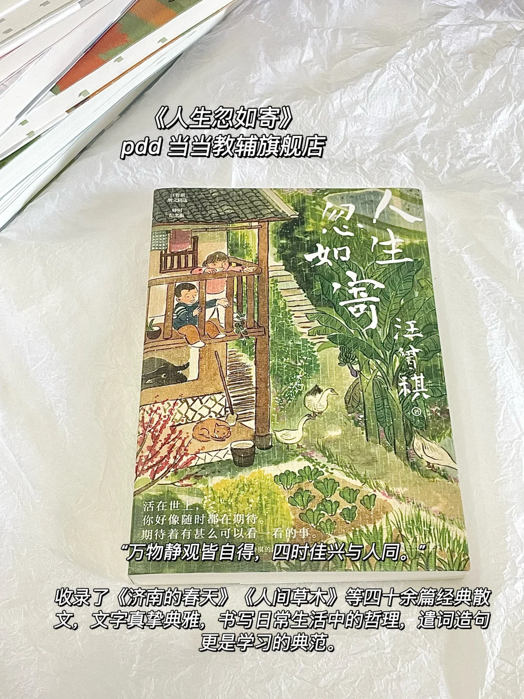 翻烂这7本散文书📚狠狠提升文笔‼️