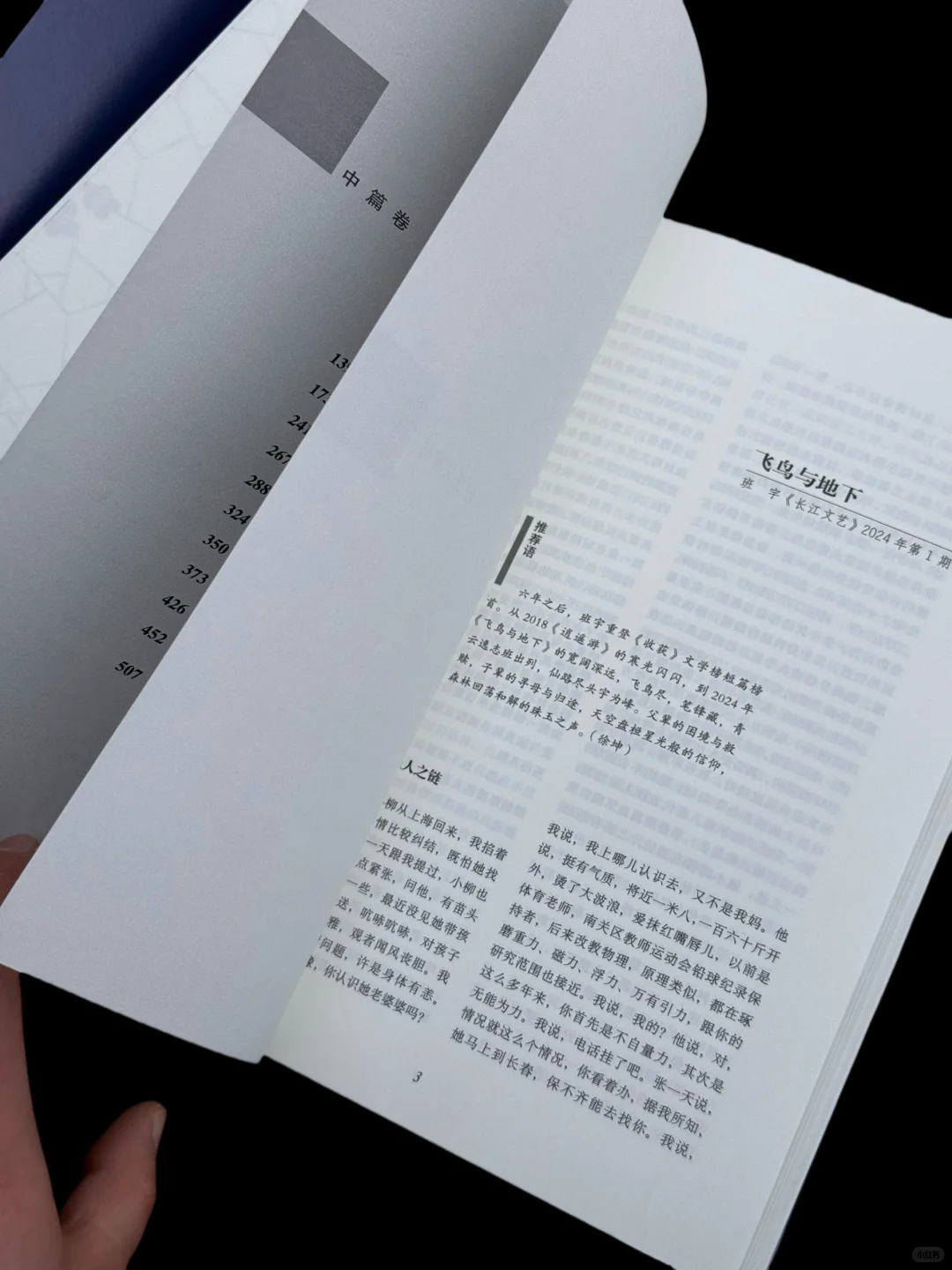 文学盛宴❗️一本收齐2024年最值得读的中短篇