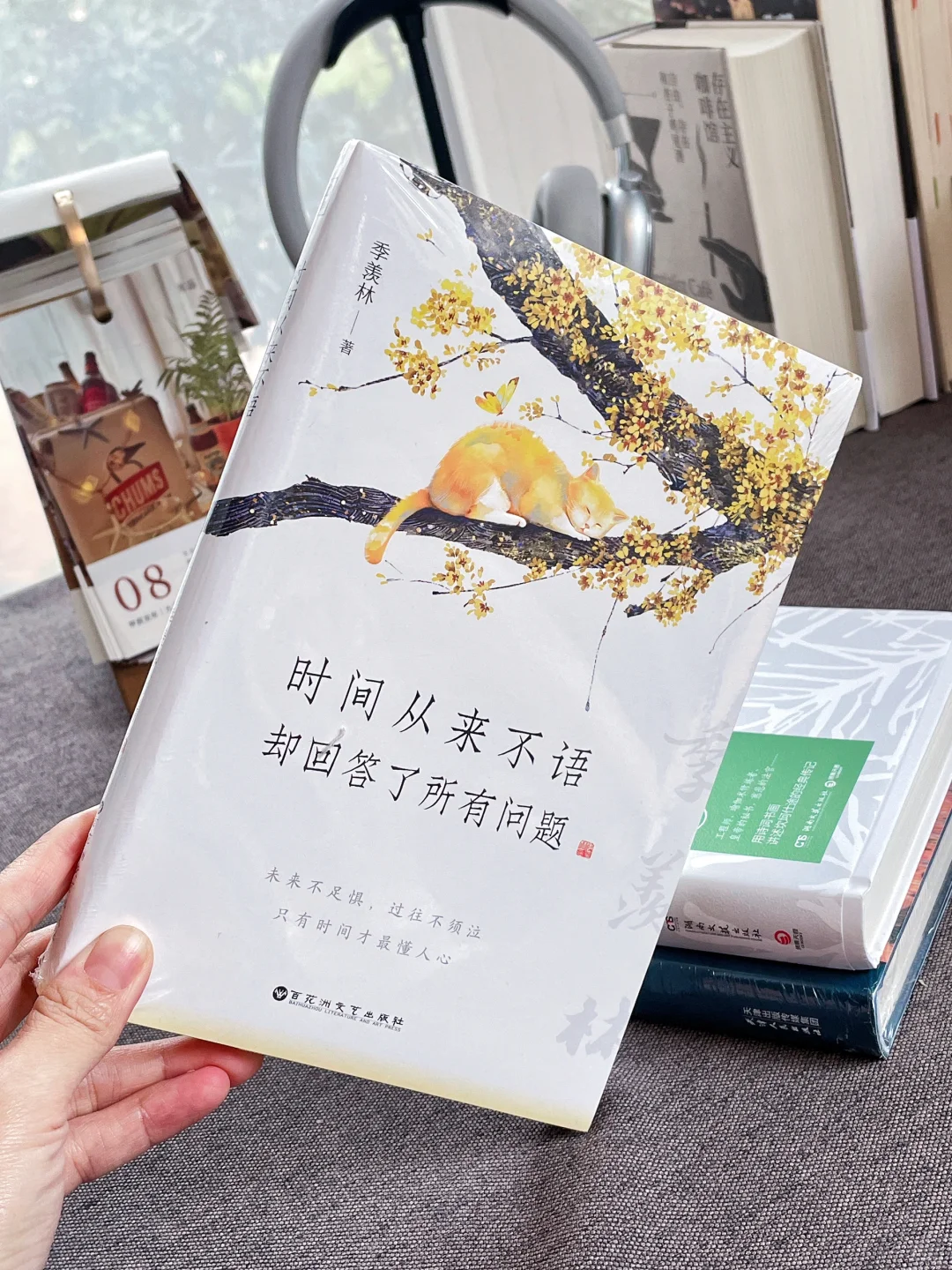 🍃十月新书，每一本都超爱！