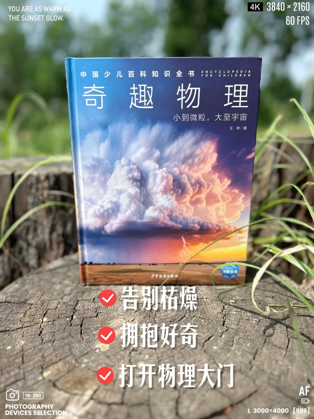 ✨生活处处是科学！小升初暑假必读书单