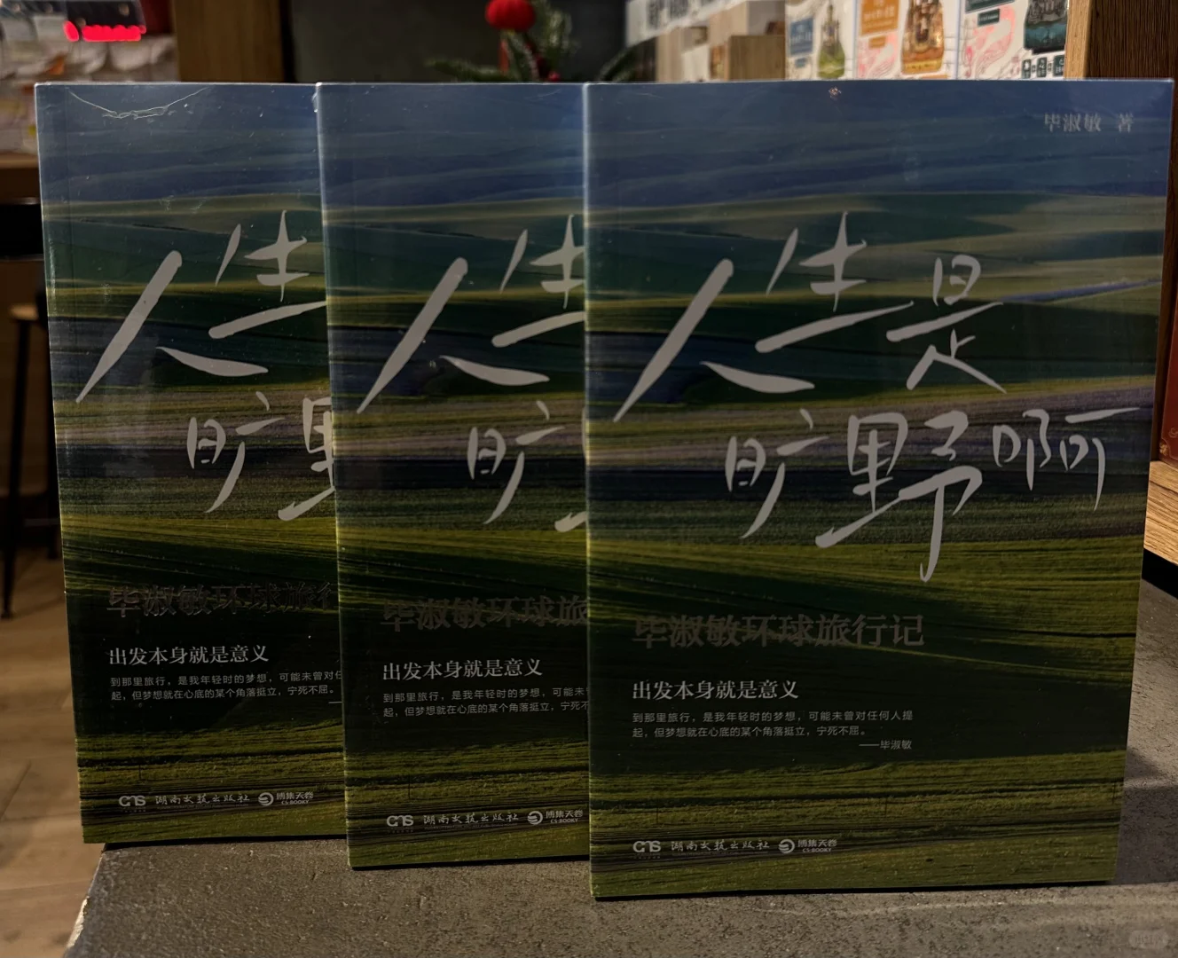 新书推荐《人生是旷野啊》