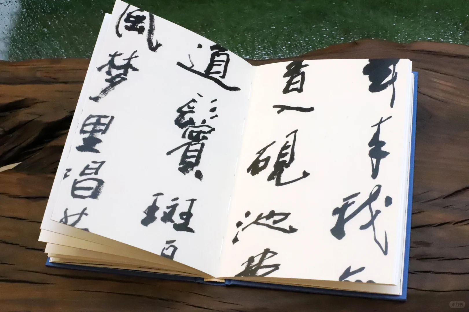 新书 | 《不如见一面》终于见面了！