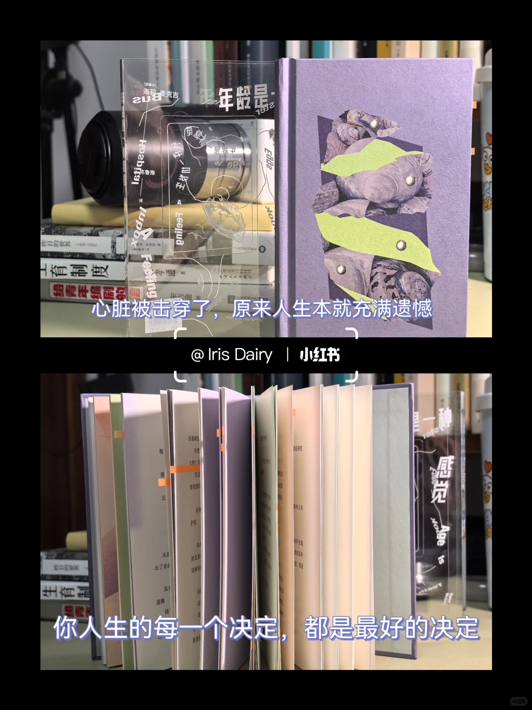 鲁豫：“别祝我一帆风顺，祝我乘风破浪。”