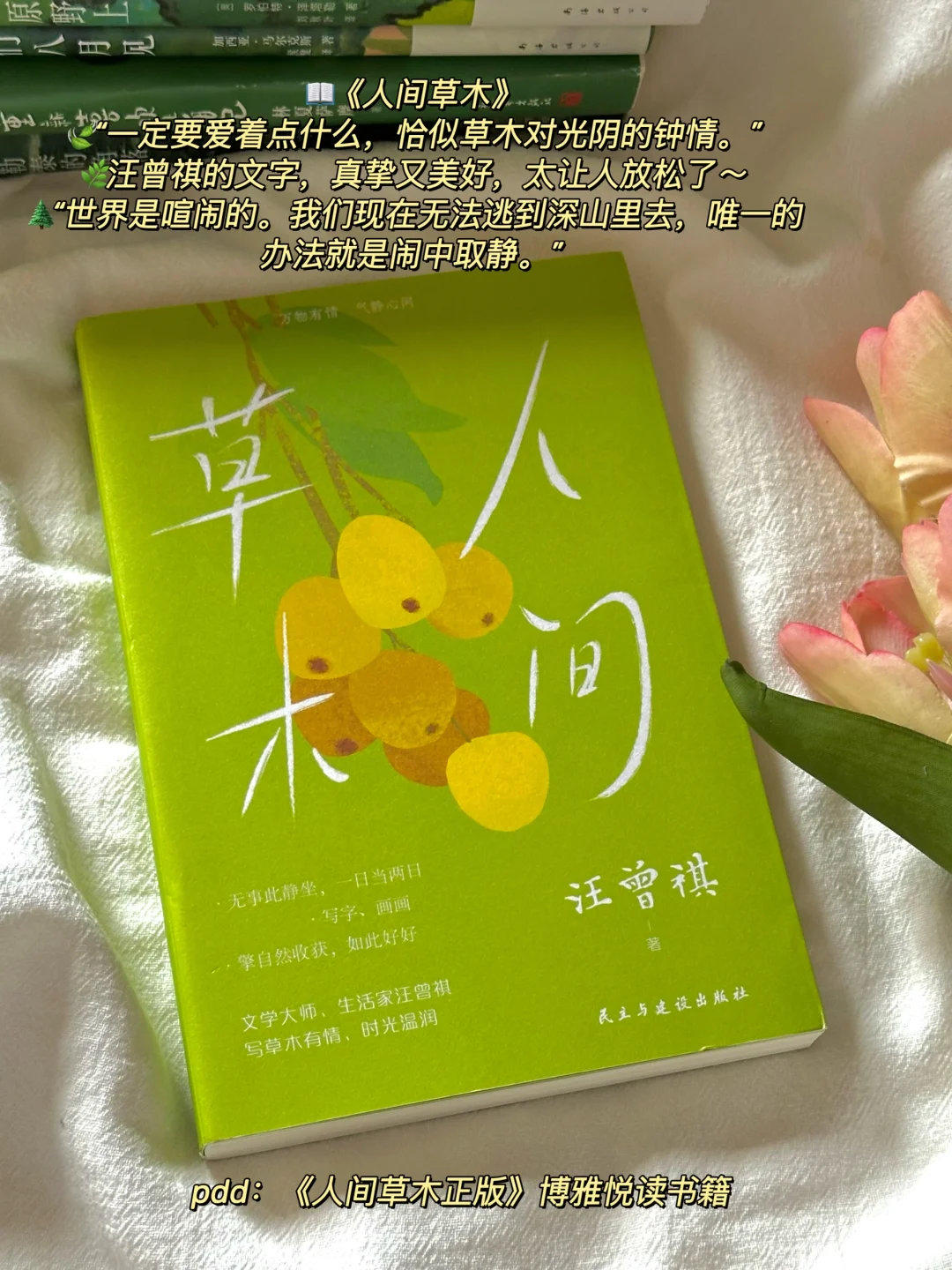 夏日清凉治愈书单🌿每一本我都好爱啊！！