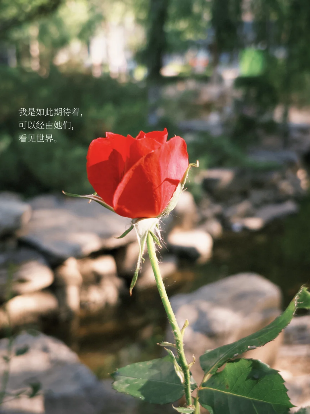女性作家新书拆箱 | “经由我们，看见世界”