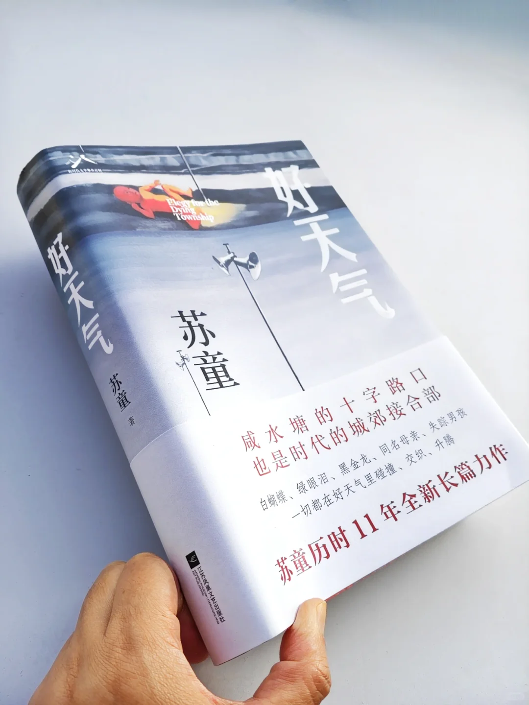 苏童，你真是个天才！文字的天才！