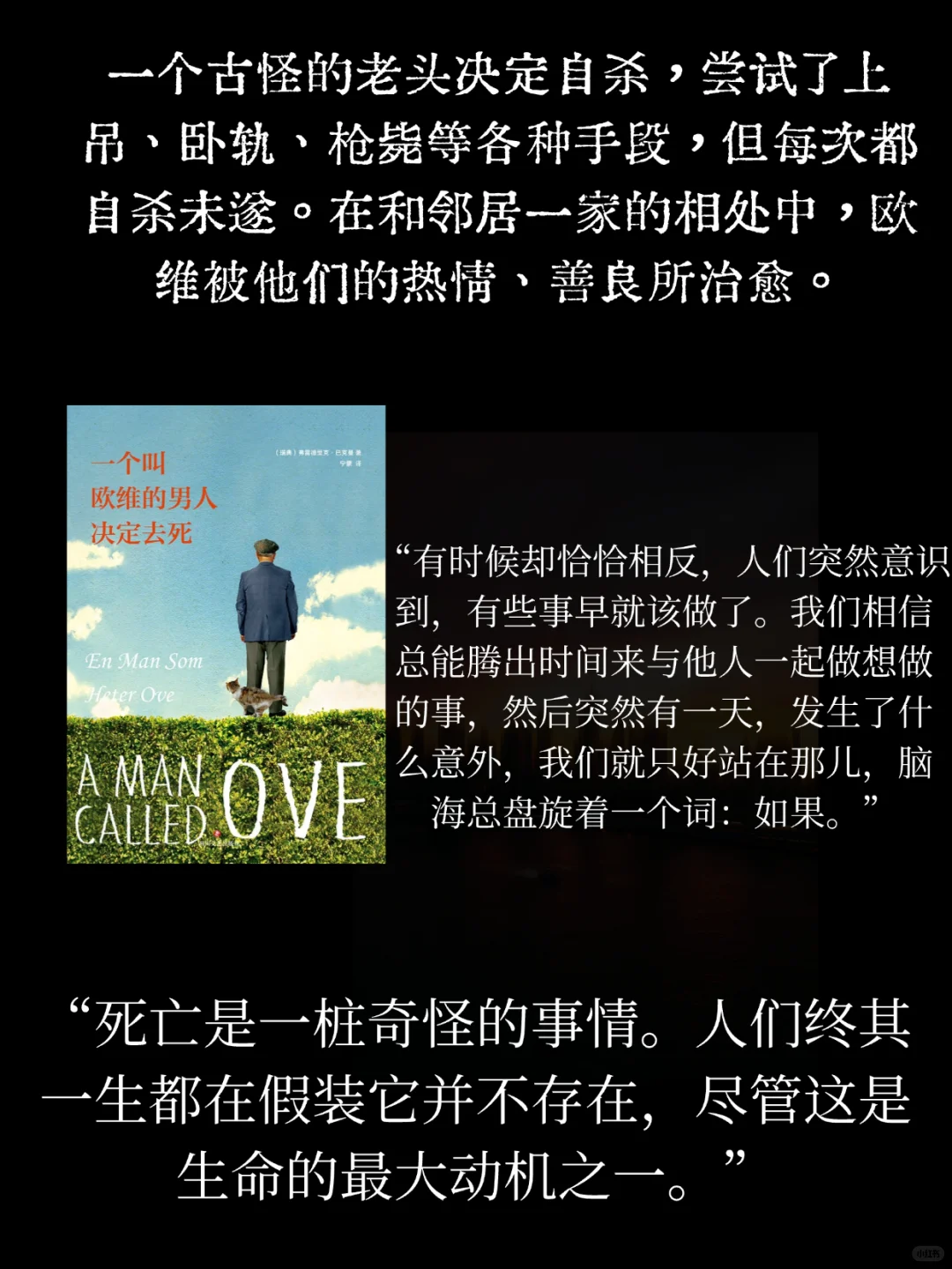 25度书单|阳光、幸福，人类应该这样活着