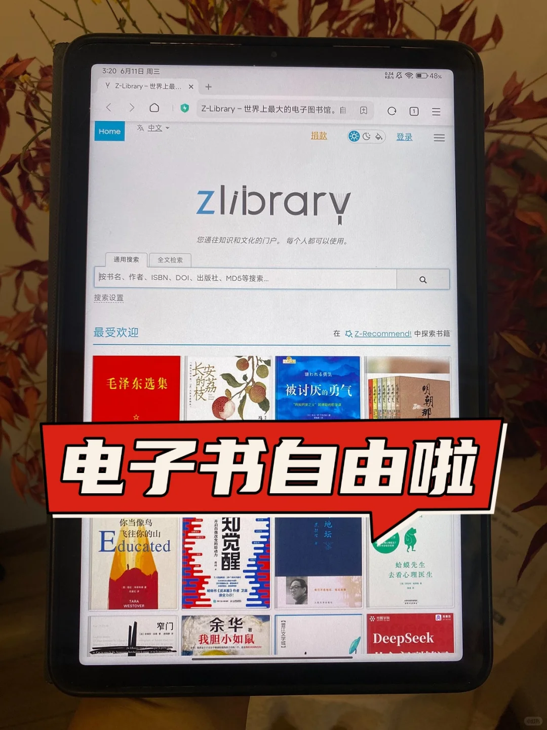 最新zlibirary国内直连入口，电子书自由啦