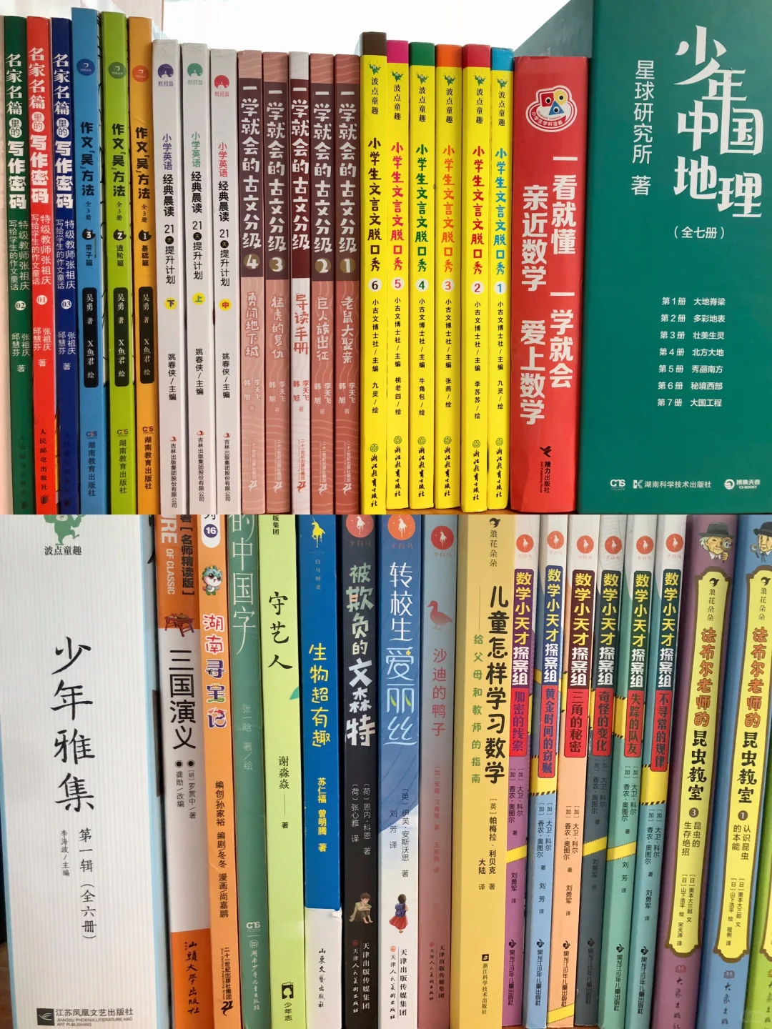 9岁娃读N遍的书单❗️书荒了求介绍好书📚📚