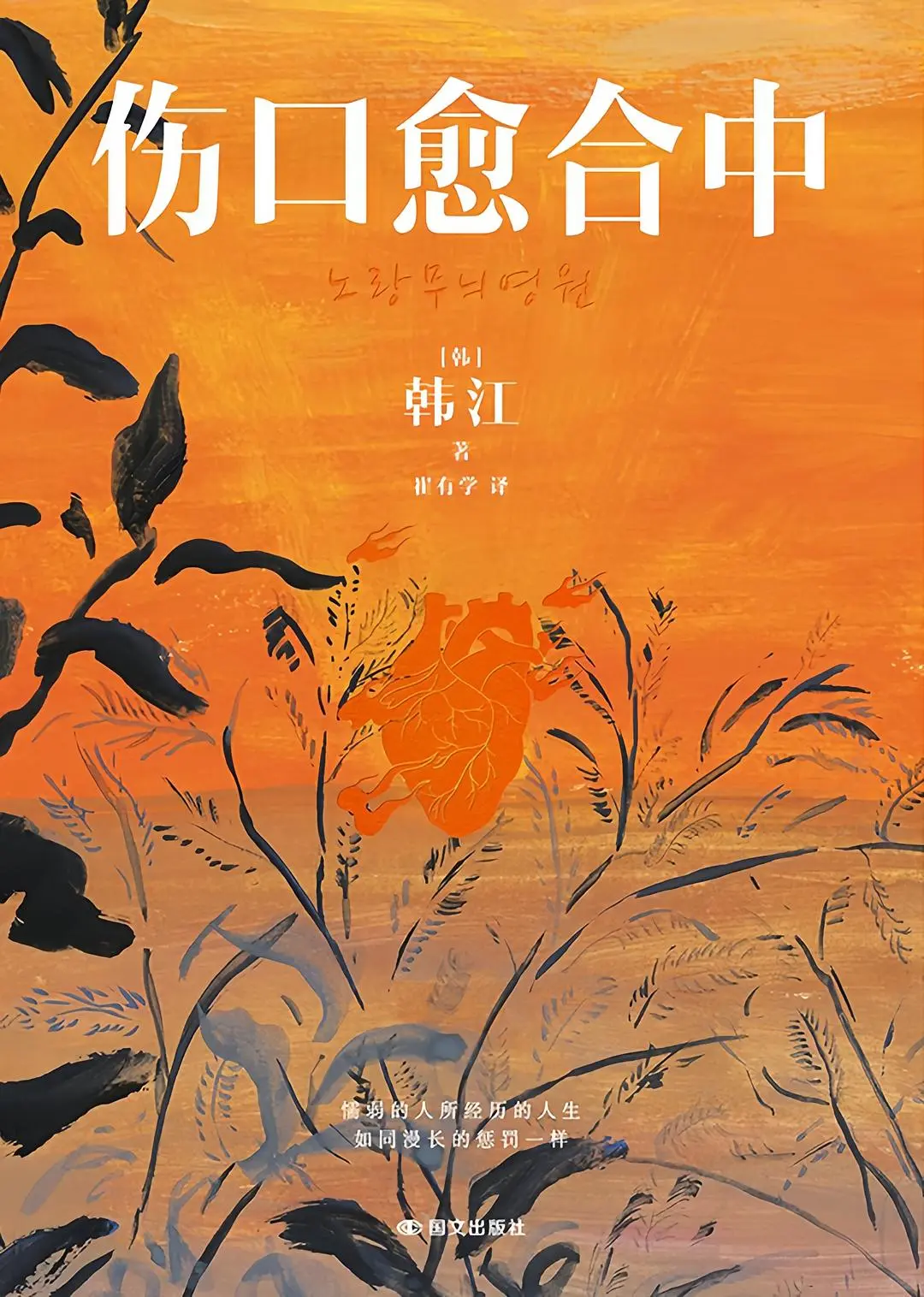 👏🏻 高分书单丨六月必买好书合集‼️