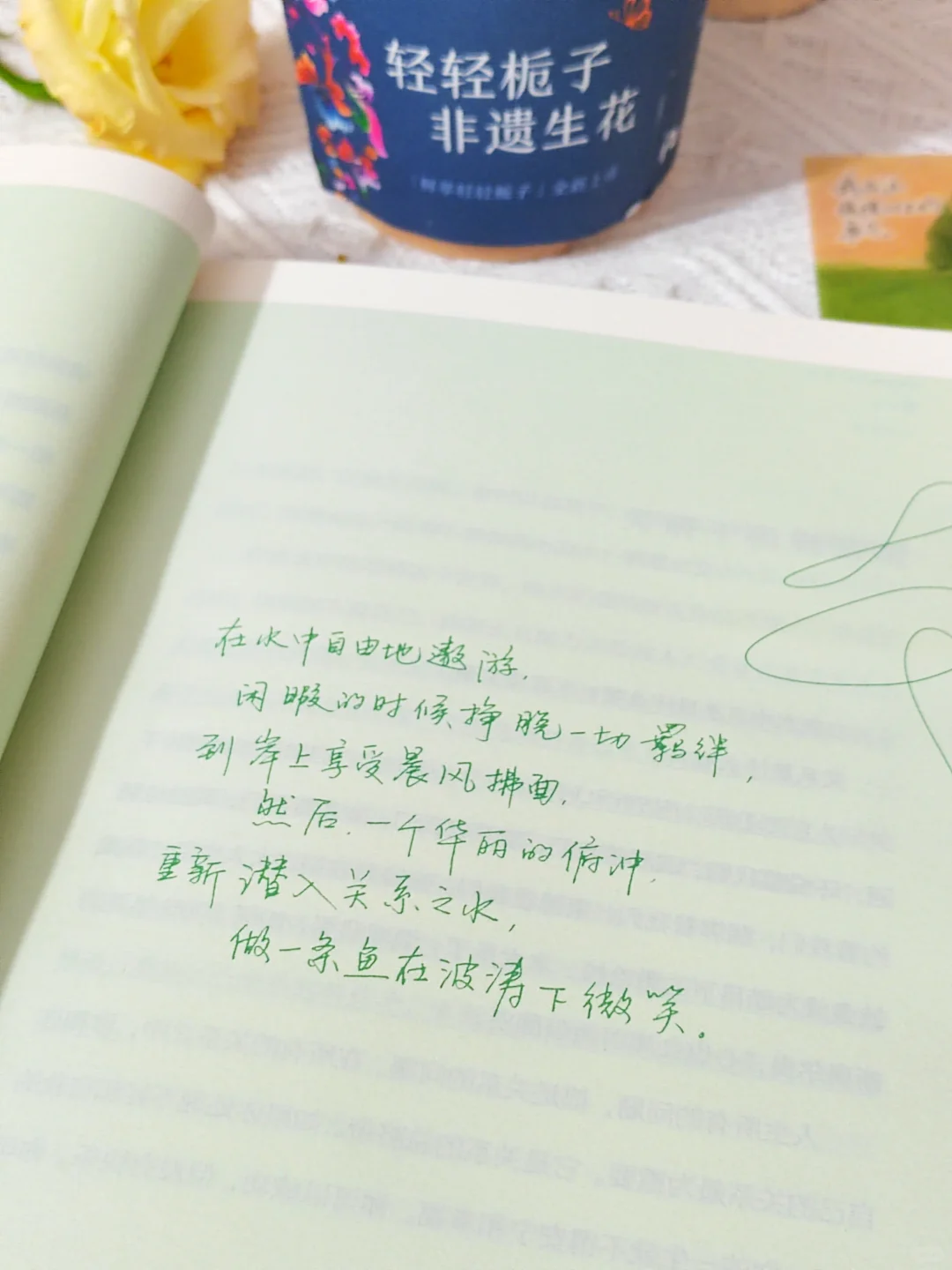 我宣布：这是我2025看过蕞蕞蕞治愈的一本书