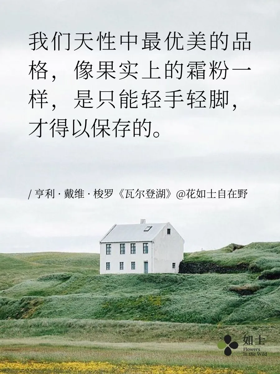 （福利）4本书带你逃往山野🌲 | 自然文学