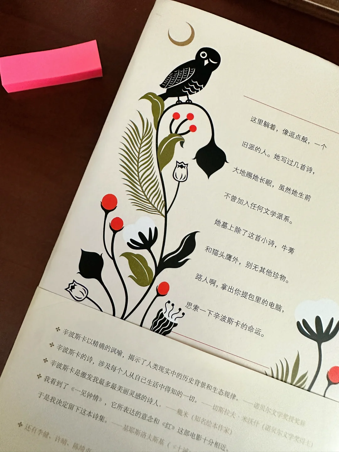 我试图让生活青睐于我，却总先向它点头哈腰
