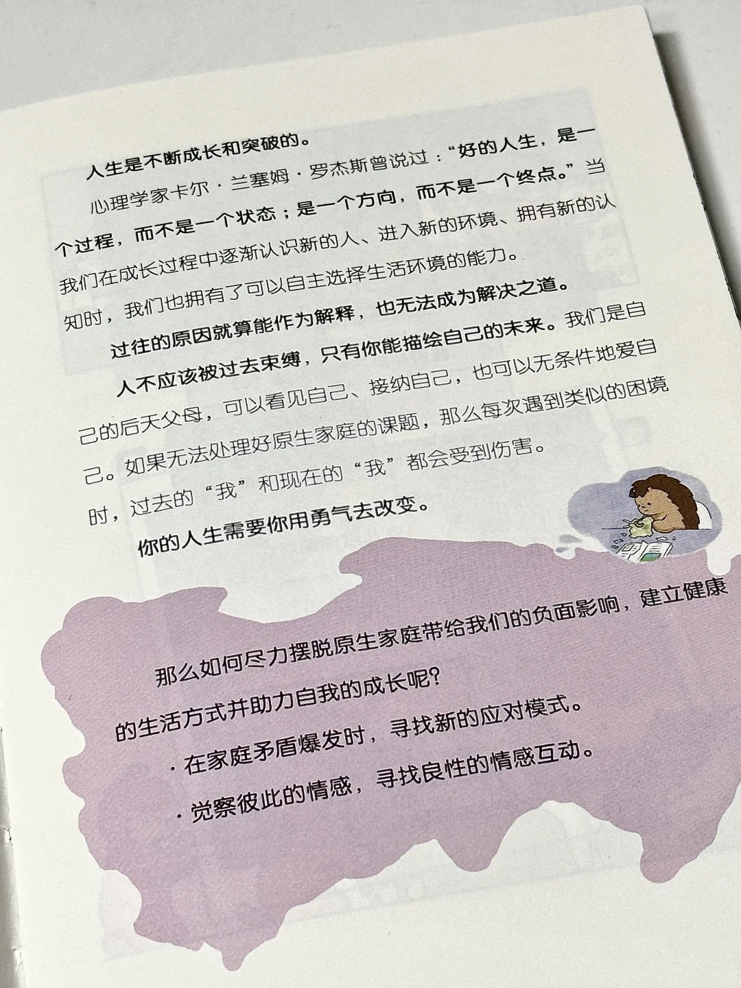 我宣布，这是今年最可爱的一本书！！