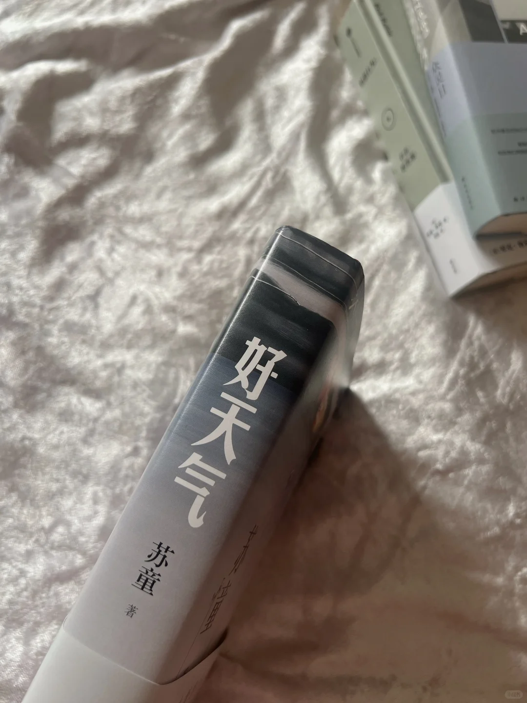 ◻️好天气：这是温情，也是敬意