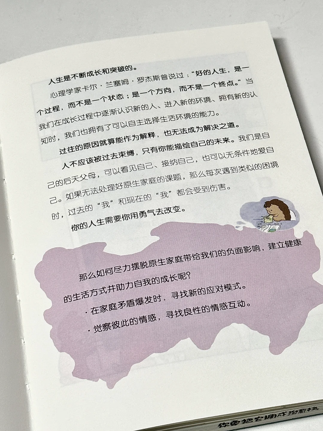 我宣布，这是今年最可爱的一本书！！