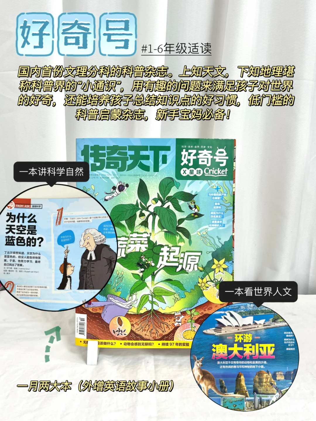 【开学季·青少年必读9大经典系列】