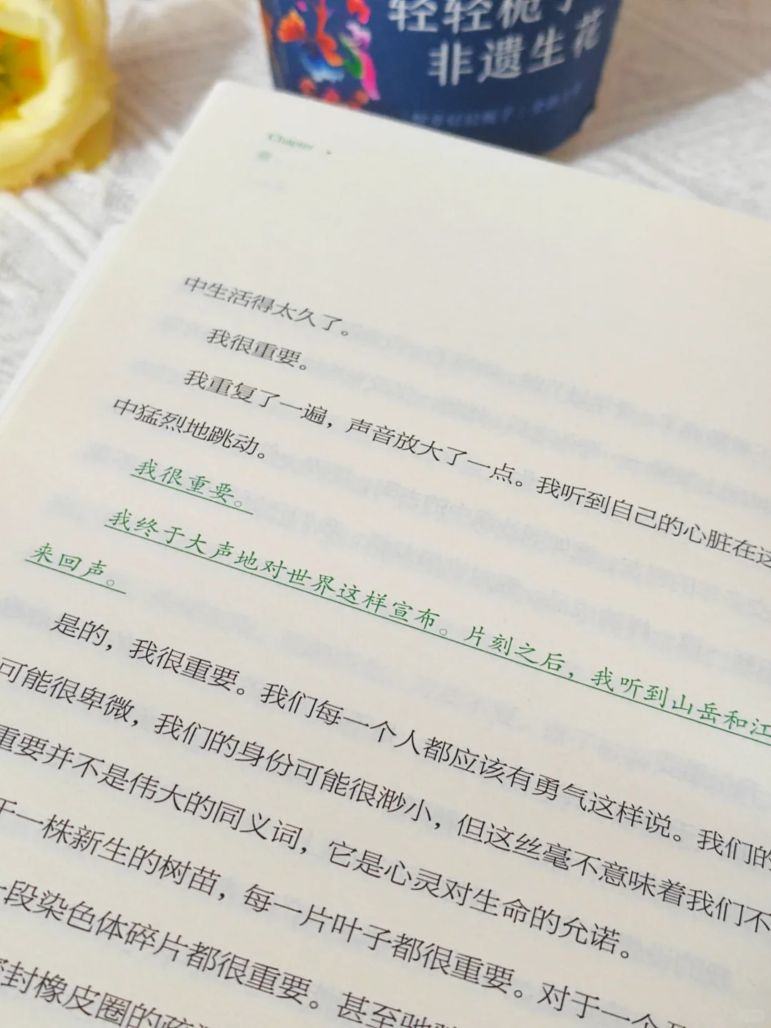 我宣布：这是我2025看过蕞蕞蕞治愈的一本书