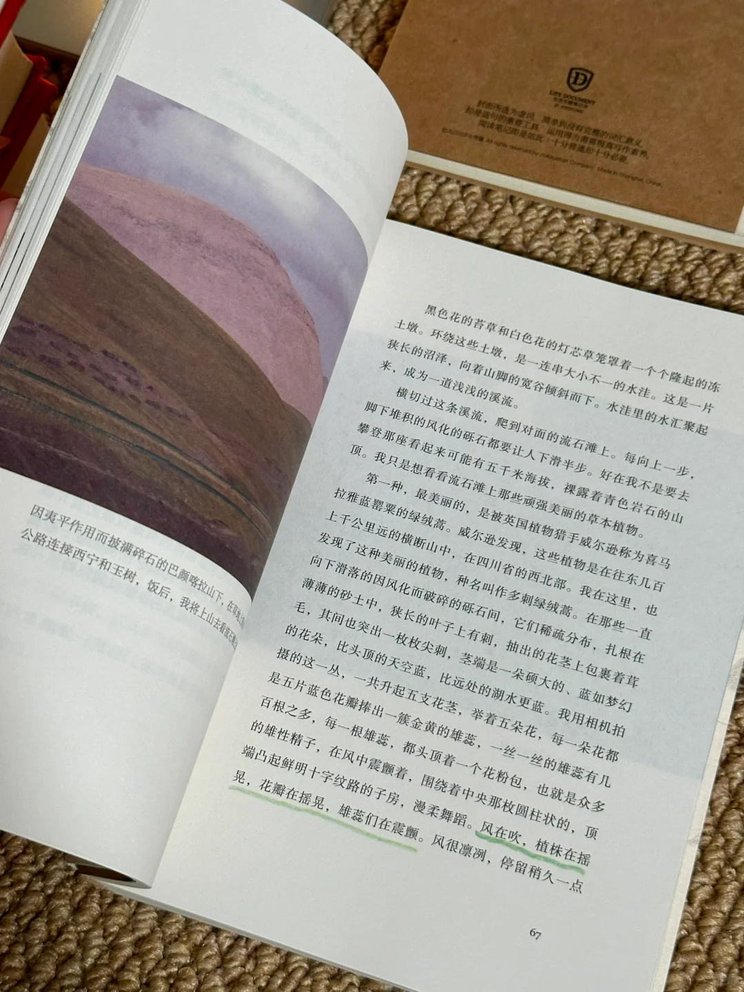 挖到宝📚他的文笔潇洒冷冽，恨不得全文背诵