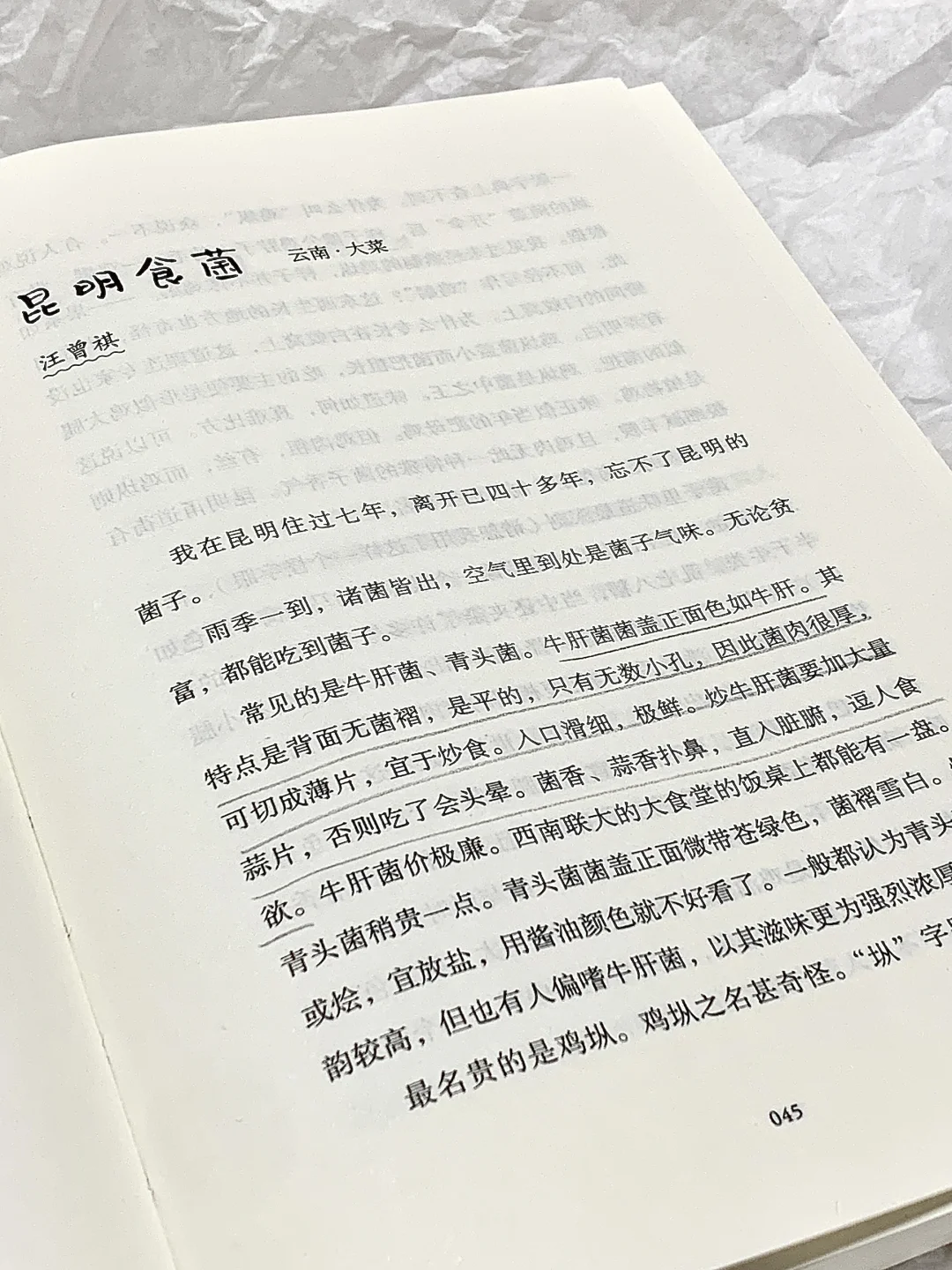 买书赠针织手提袋啦！！能装书又能装美食🥰