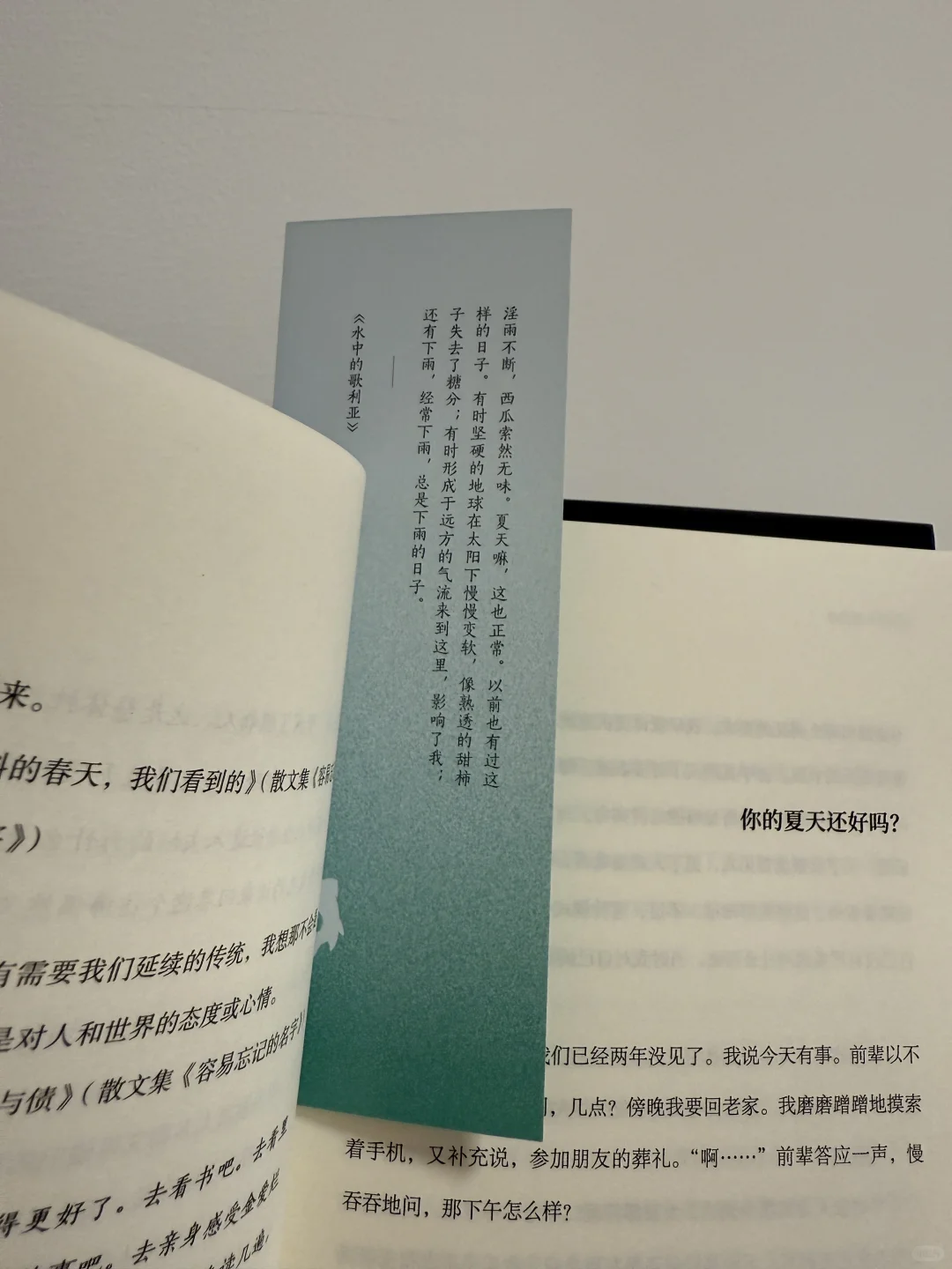 【新书开启】你的夏天还好吗？