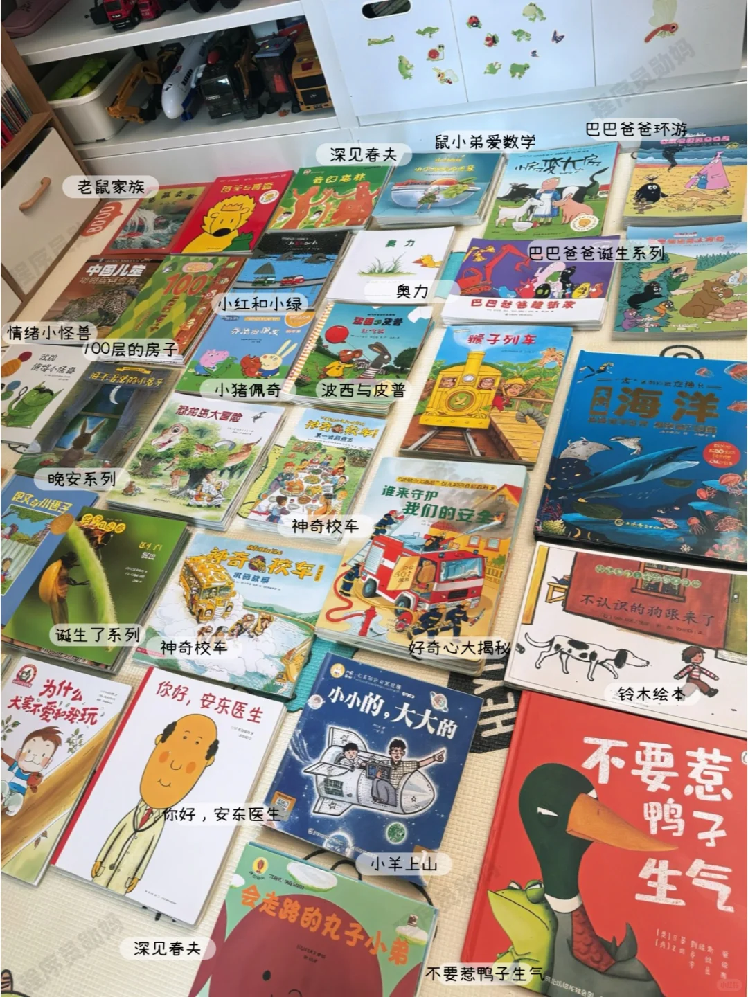 吐血整理❗2-6岁必读绘本，亲测不踩雷