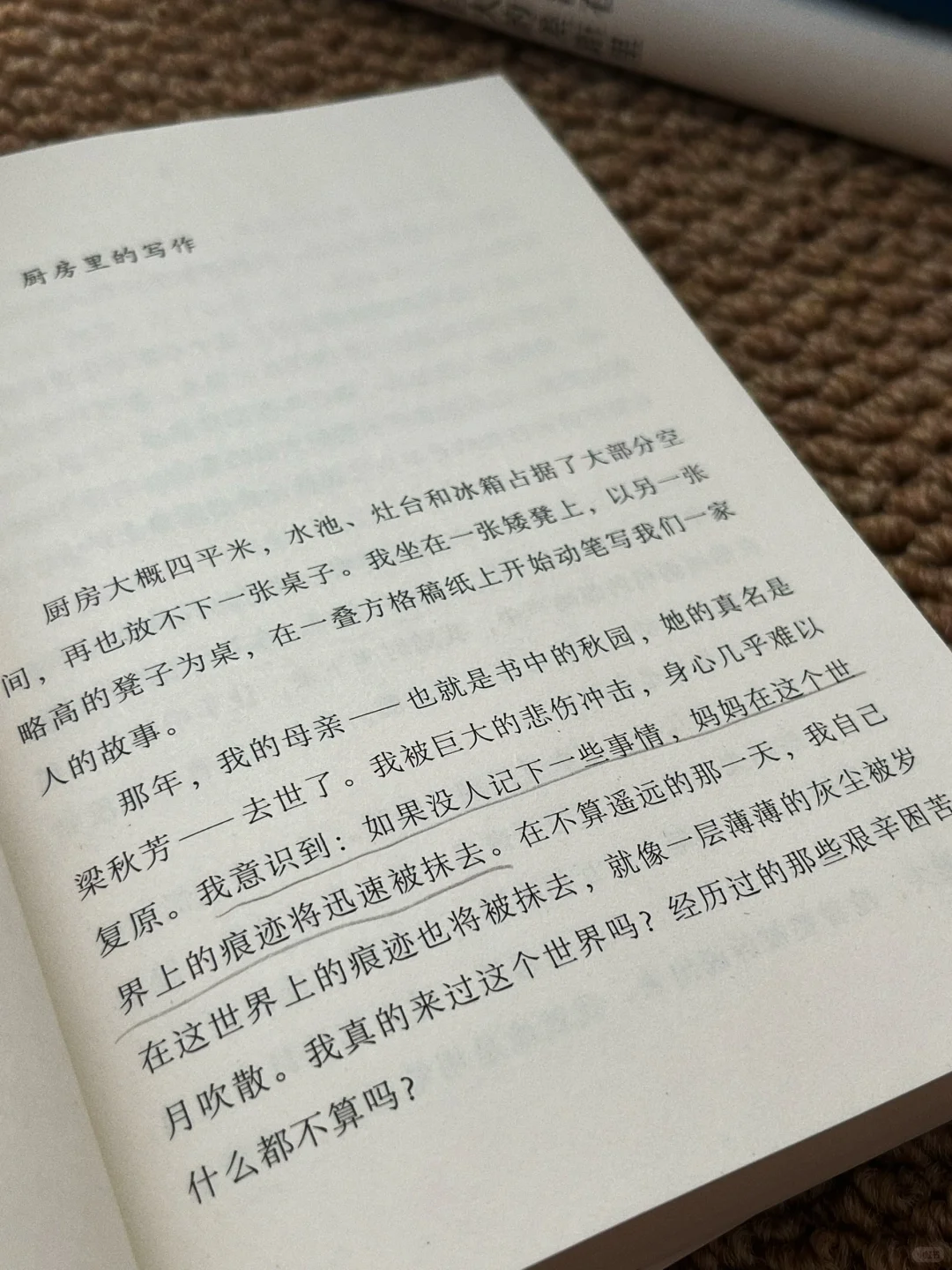 “一生尝尽酸甜苦辣，终落得如此下场。”